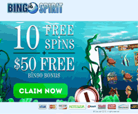 Bingo Spirit Landing Promotion