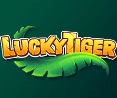 Casino Lucky Tiger